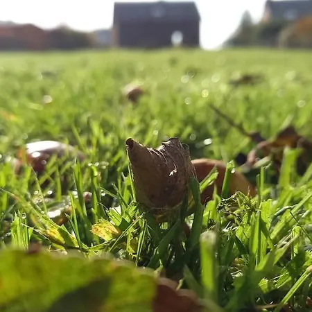 Nyaraló A Bicyclette *